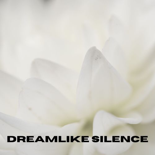 Dreamlike Silence