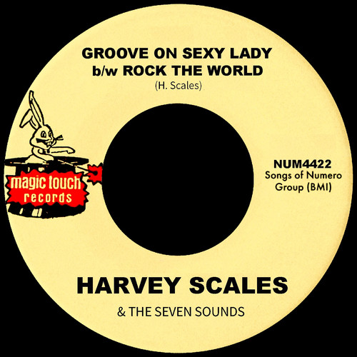 Groove On Sexy Lady b/w Rock The World