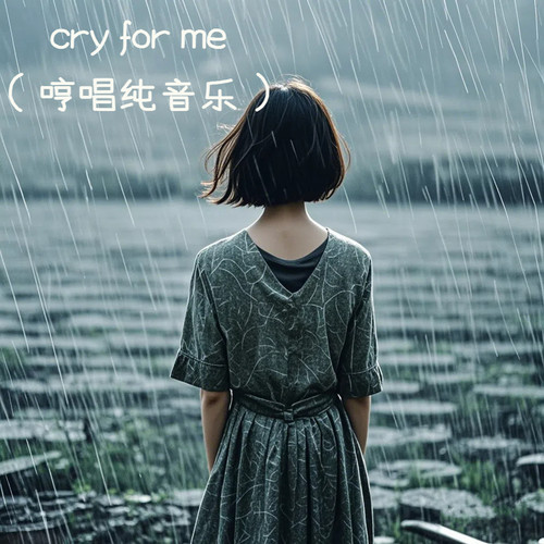 cry for me（哼唱纯音乐）