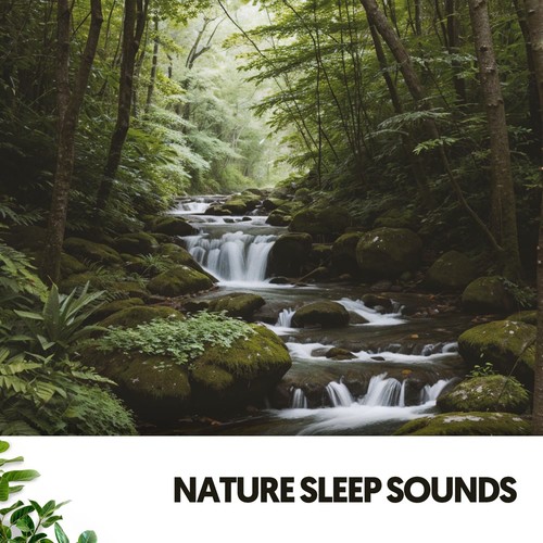 Nature Sleep Sounds: Serenity in Symphony