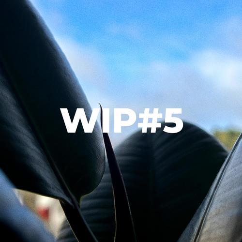 WIP#5