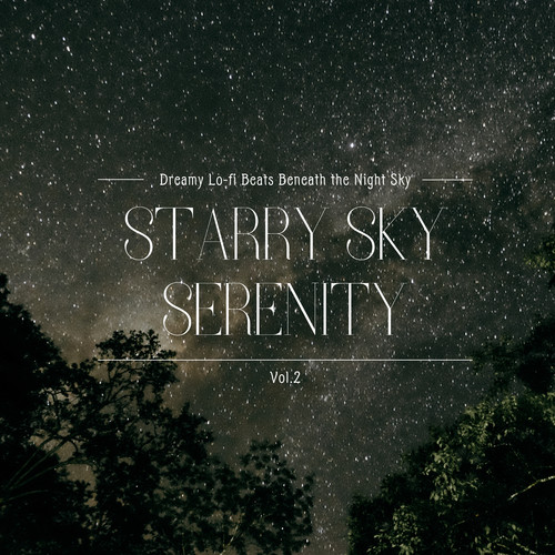 Starry Sky Serenity: Dreamy Lo-fi Beats Beneath the Night Sky Vol.2