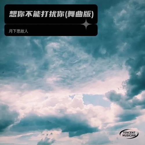 想你不能打扰你(舞曲版)