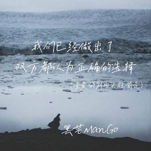 我们已经做出了双方都认为正确的选择(亲爱的别回头往前走)