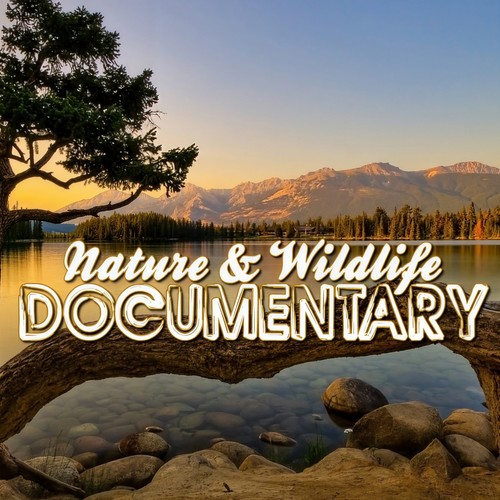 Nature & Wildlife Documentary (Music for Documentaries, Ambient, World Music, Landscapes, New Age)