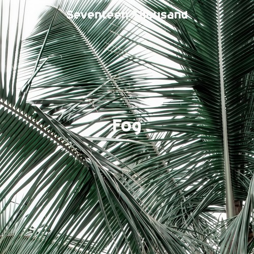 Fog