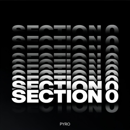 Section 0