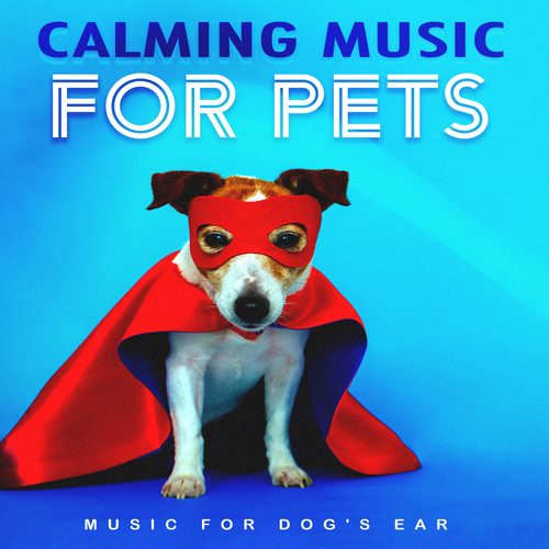 Calming Music for Pets