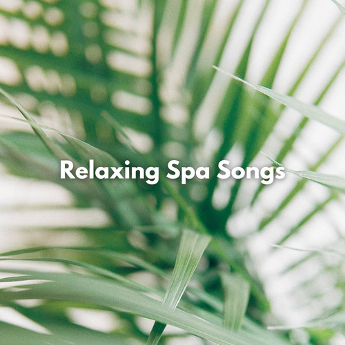 Relaxing Spa Songs (Explicit)