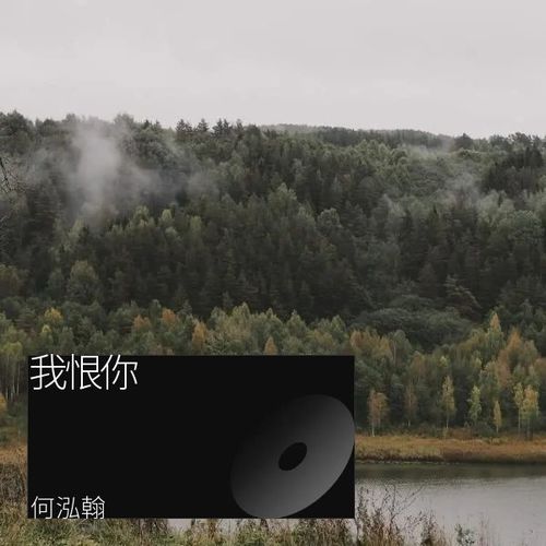 我恨你