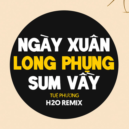 Ngày Xuân Long Phụng Sum Vầy (Remix EDM)