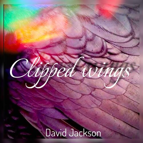 Clipped Wings