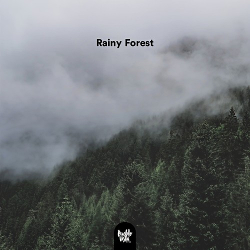 Rainy Forest