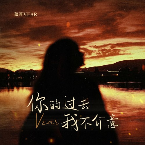 你的过去我不介意