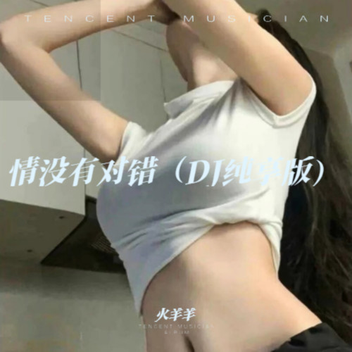 情没有对错（DJ纯享版）