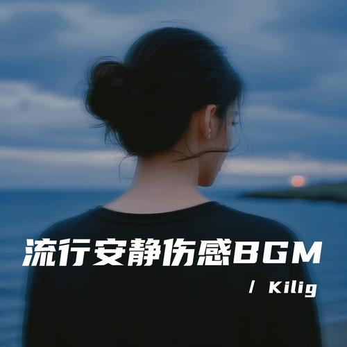 流行安静伤感BGM