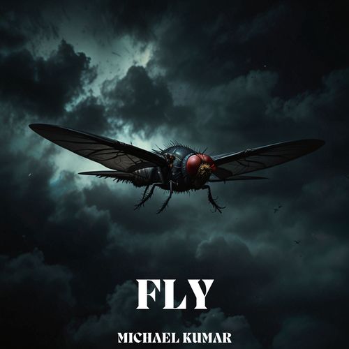 FLY