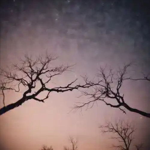 我们说好的