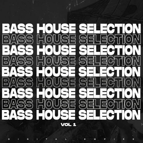 Bass House Selection 2025, Vol. 1 (Explicit)