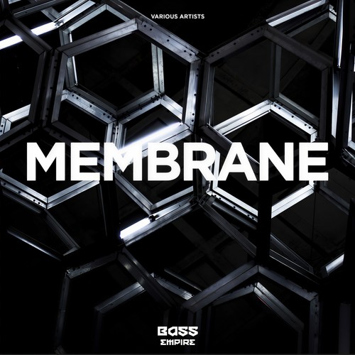 Membrane