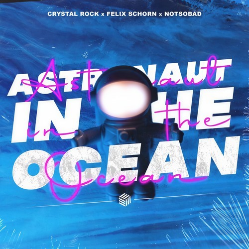 Astronaut In The Ocean