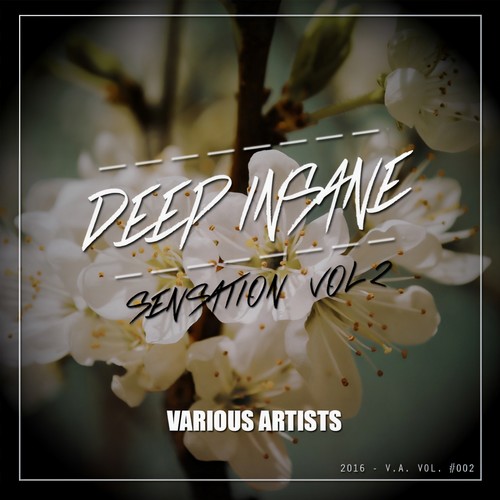 Deep Insane Sensation, Vol. 2