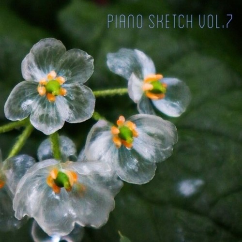 Piano Sketch, Vol.7