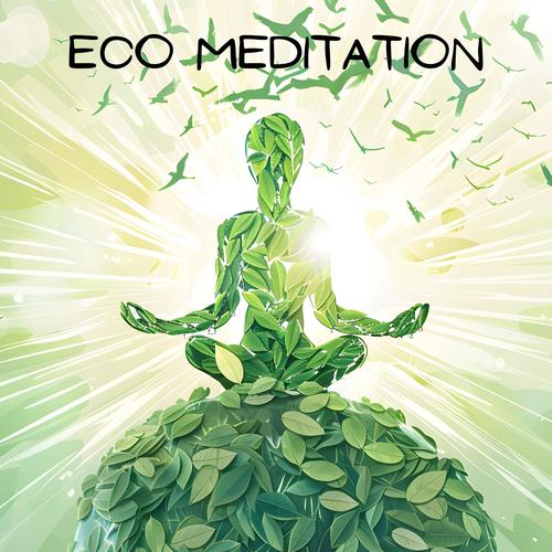 Eco Meditation