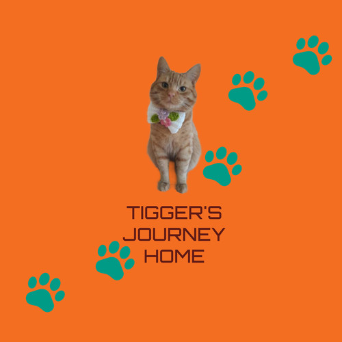 Tigger's Journey Home