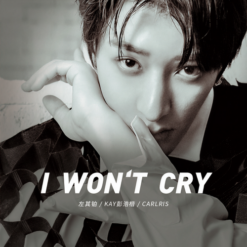 I Won't Cry