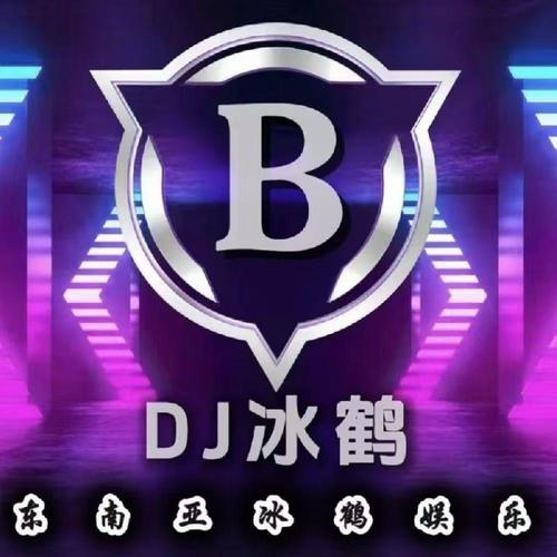 侧脸 (dj冰鹤 remix)