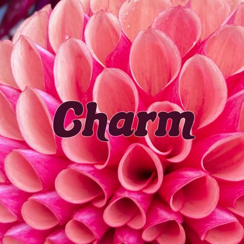 Charm EP