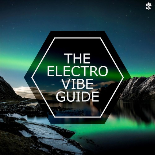 The Electro Vibe Guide