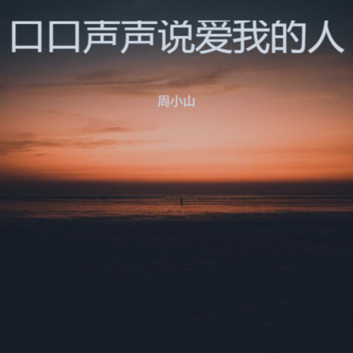 口口声声说爱我的人