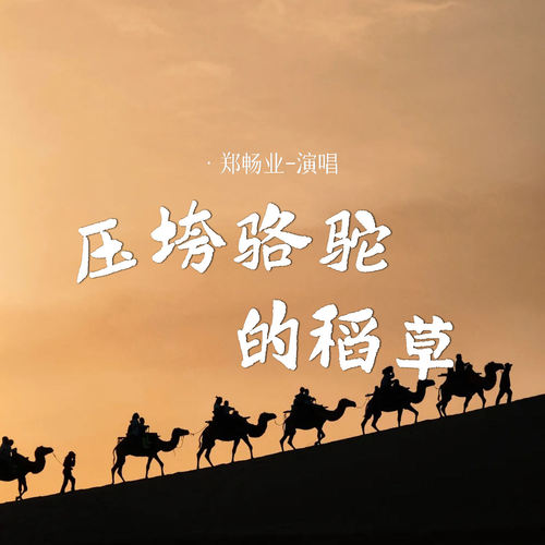 压垮骆驼的稻草