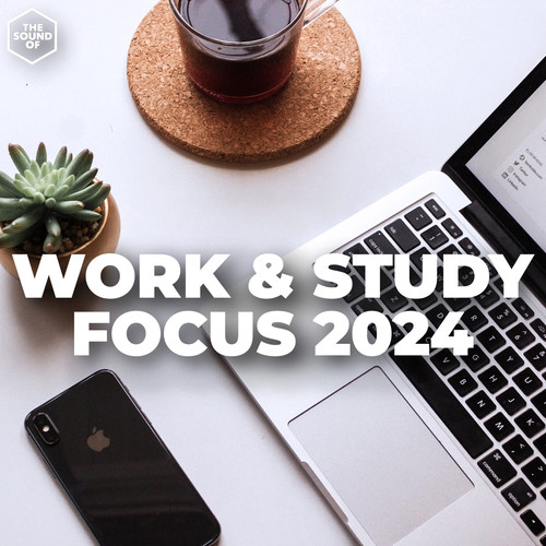 Work & Study Focus 2024