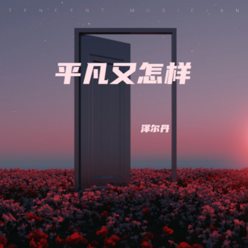 平凡又怎样