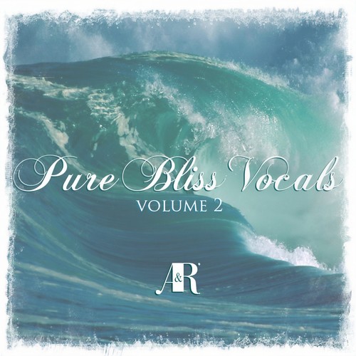 Pure Bliss Vocals Volume 2