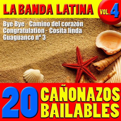 20 Temazos Bailables Vol. 4