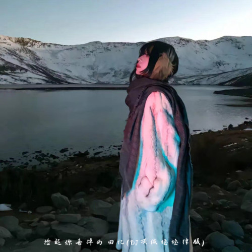 捡起你丢掉的回忆（DJ顶级旋旋律版）