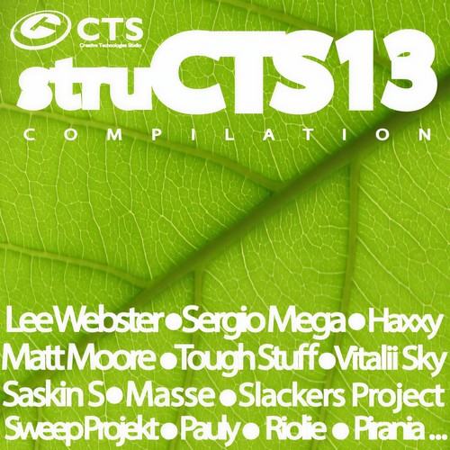 STRUCTS VOL.13