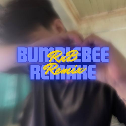 Bumblebee Remake (RnB Remix) (feat. VCC Left Hand)