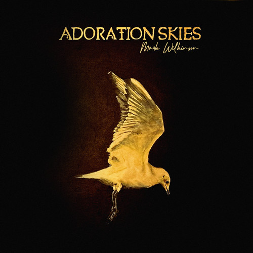 Adoration Skies