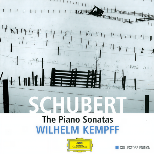 Schubert: The Piano Sonatas