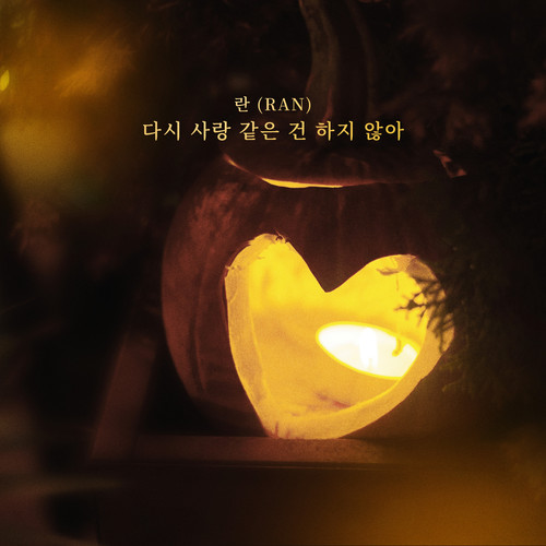 다시 사랑 같은 건 하지 않아