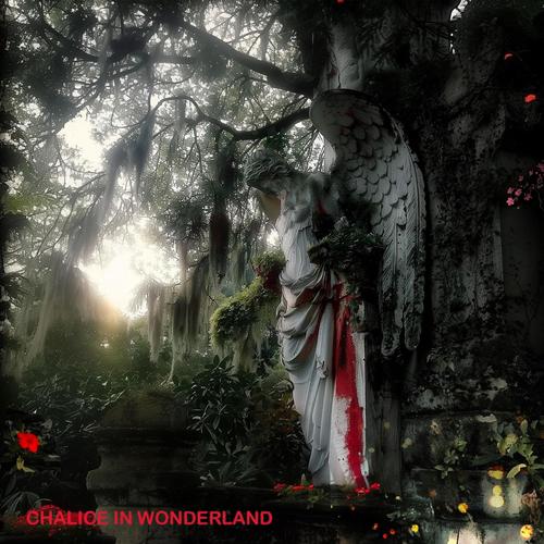 In Wonderland (Explicit)