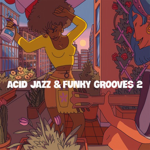 Acid Jazz & Funky Grooves 2