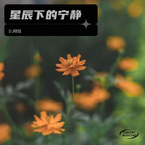 星辰下的宁静