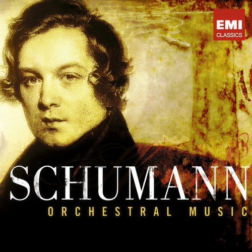 Schumann - 200th Anniversary Box - Orchestral