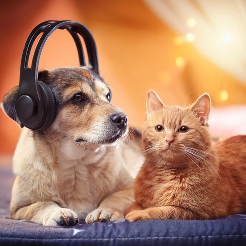 Music for Pets' Peace: Calming Animal Harmonies